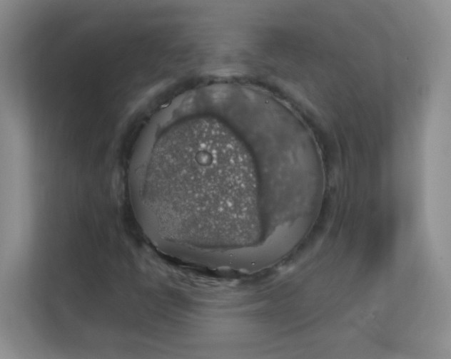 X0000111381398200907311044