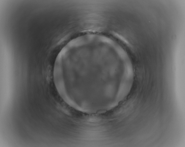 X0000111381399200907311044