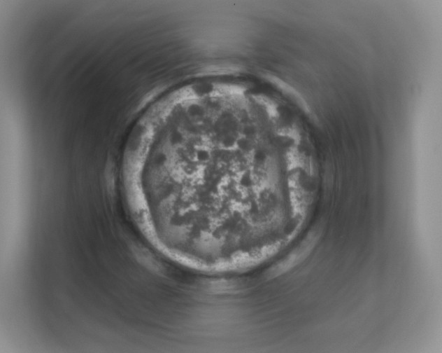 X0000111381401200907311044