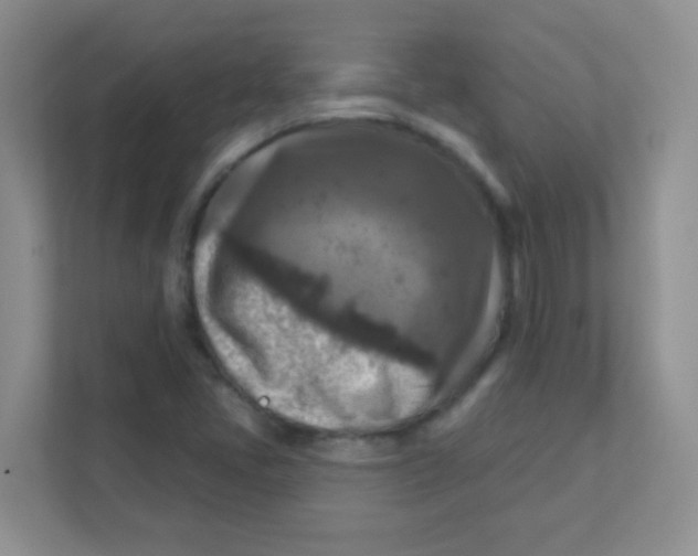 X0000111381405200907311044