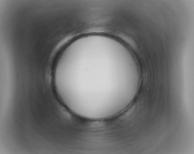 X0000111381406200907311044