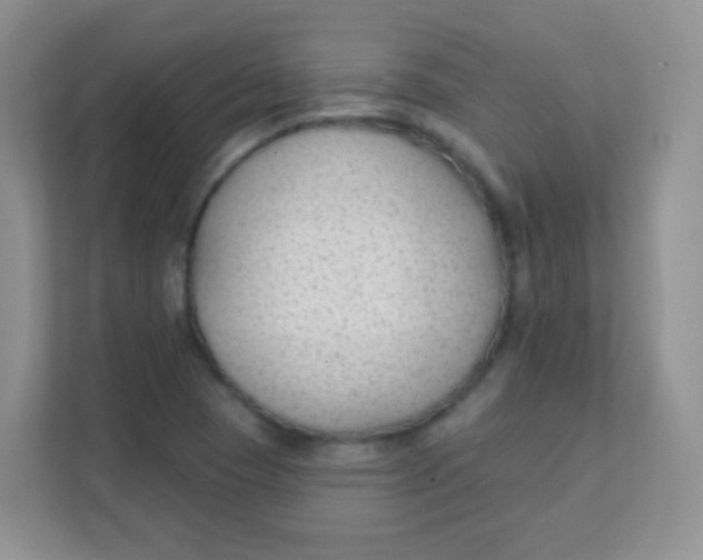 X0000111381409200907311044