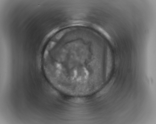 X0000111381411200907311044