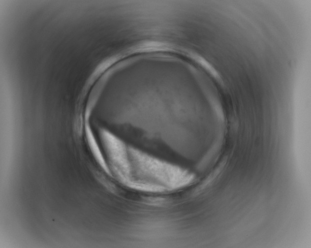 X0000111381413200907311044