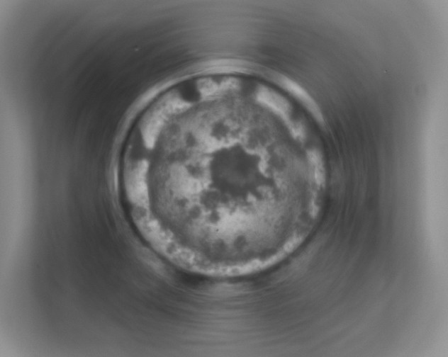 X0000111381419200907311044