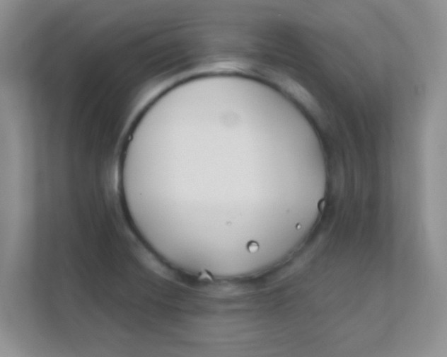 X0000111381420200907311044