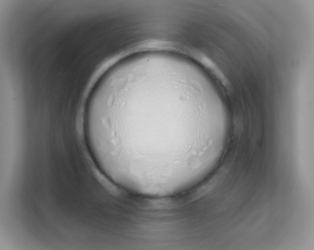 X0000111381421200907311044