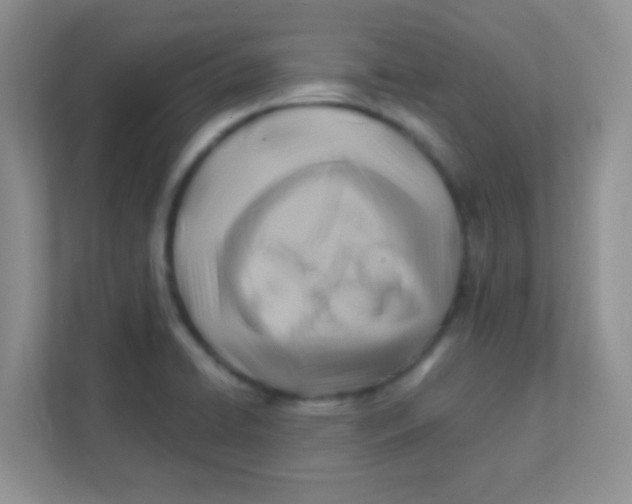 X0000111381422200907311044