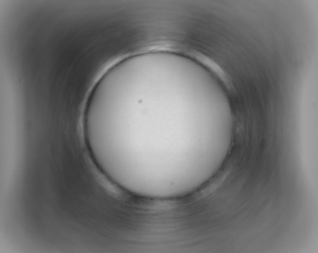 X0000111381423200907311044