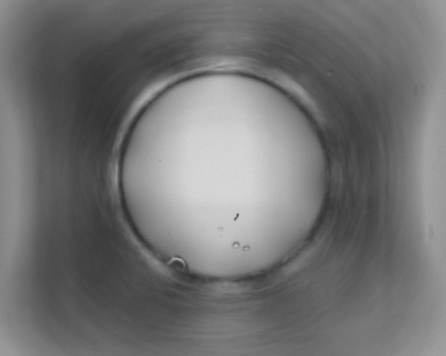 X0000111381424200907311044