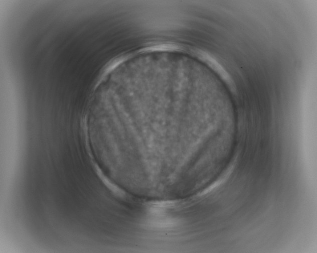 X0000111381425200907311044