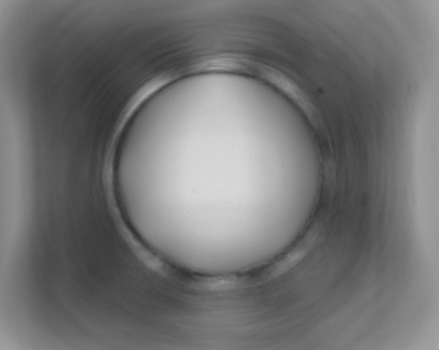 X0000111381426200907311044