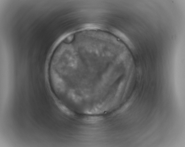 X0000111381427200907311044