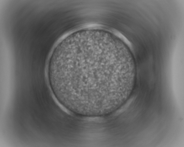 X0000111381429200907311044