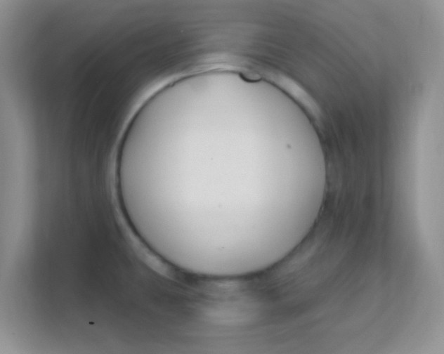 X0000111381431200907311044