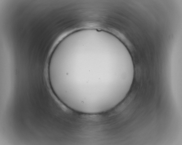 X0000111381432200907311044