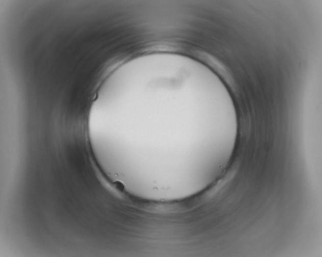 X0000111381433200907311044