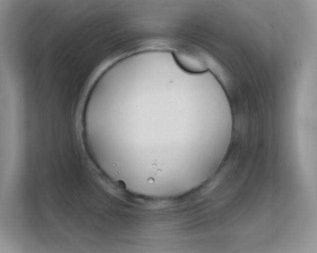 X0000111381435200907311044