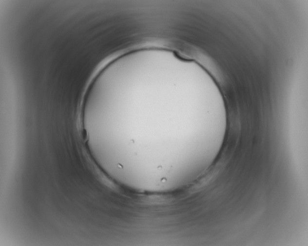 X0000111381436200907311044