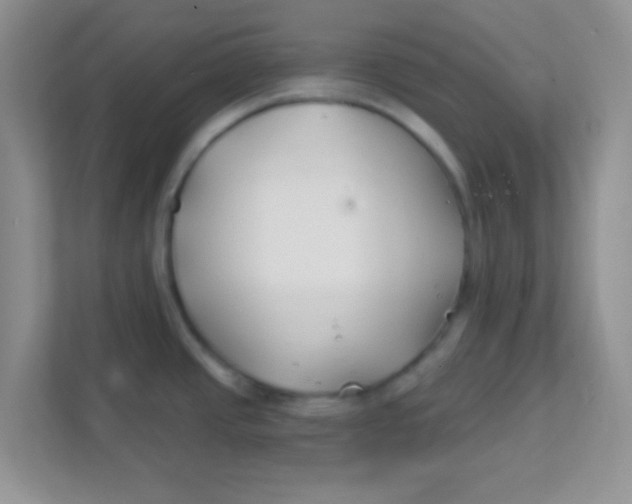 X0000111381437200907311044