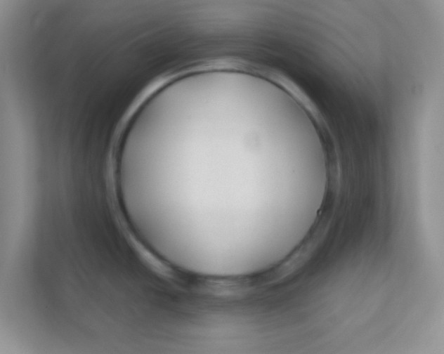 X0000111381438200907311044