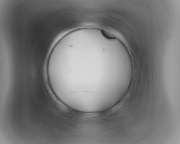 X0000111381440200907311044