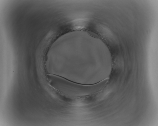 X0000111381441200907311044