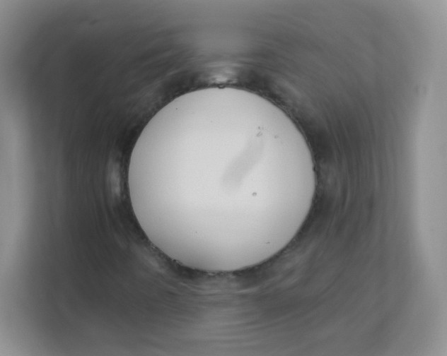 X0000111381442200907311044