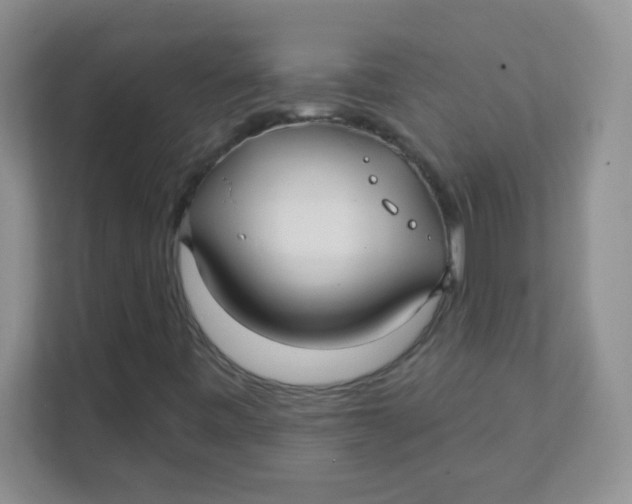 X0000111381443200907311044