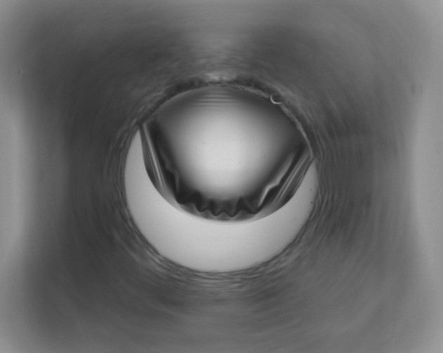 X0000111381444200907311044