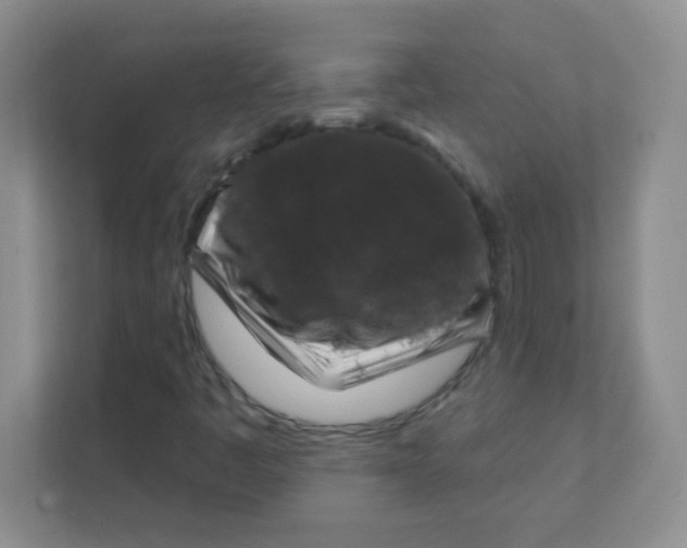 X0000111381445200907311044