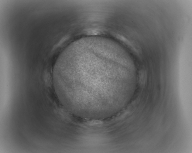 X0000111381446200907311044