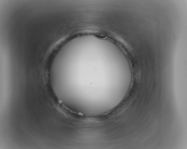 X0000111381448200907311044