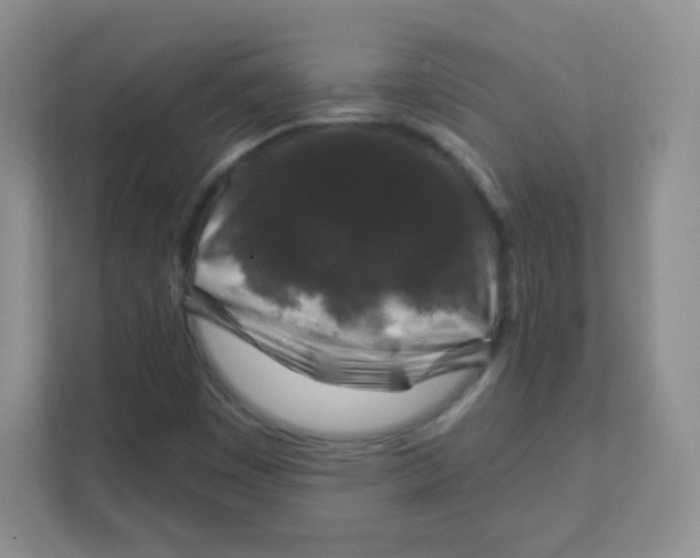 X0000111381449200907311044