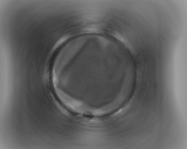 X0000111381450200907311044