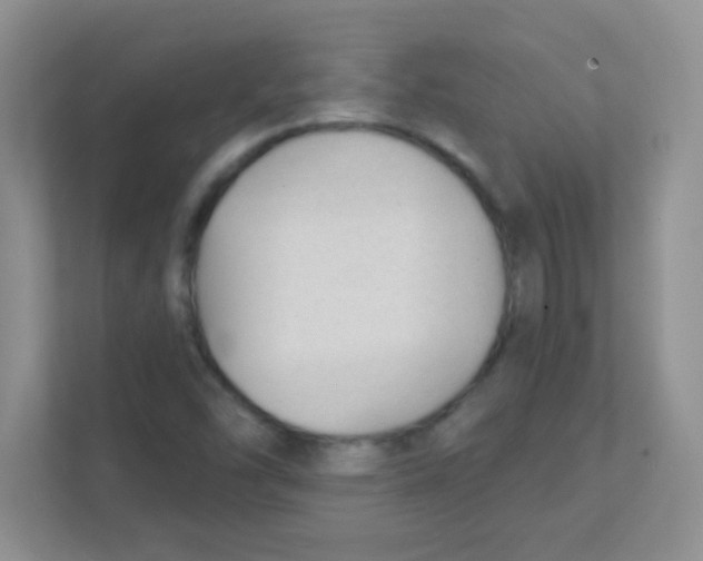 X0000111381454200907311044