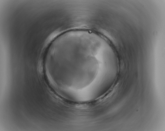 X0000111381455200907311044