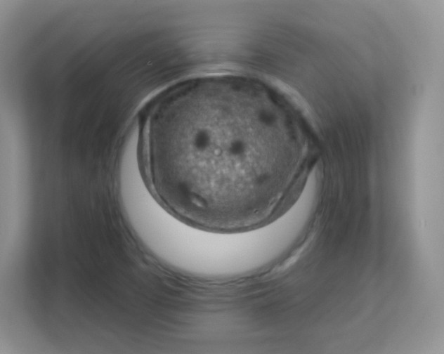 X0000111381457200907311044