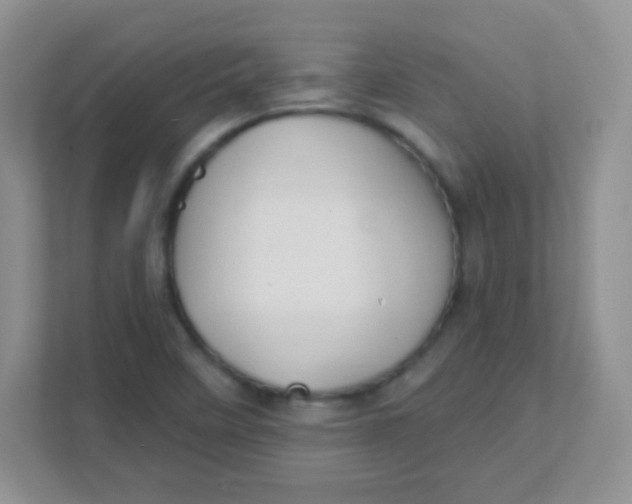 X0000111381458200907311044