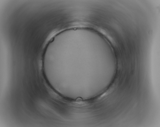 X0000111381459200907311044