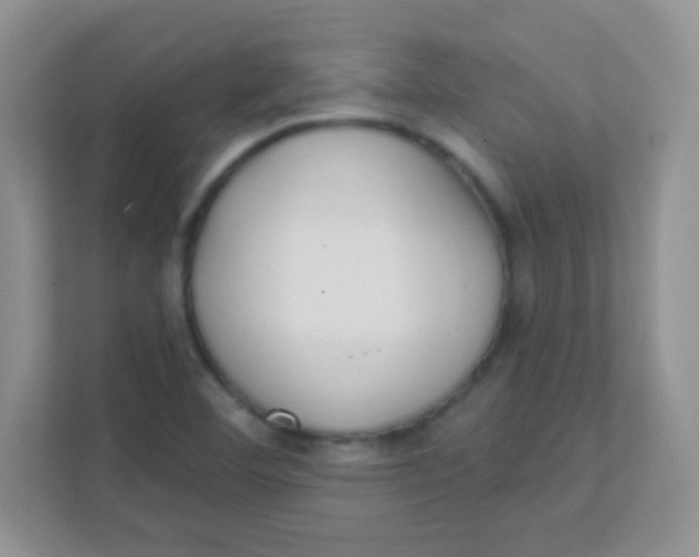 X0000111381460200907311044