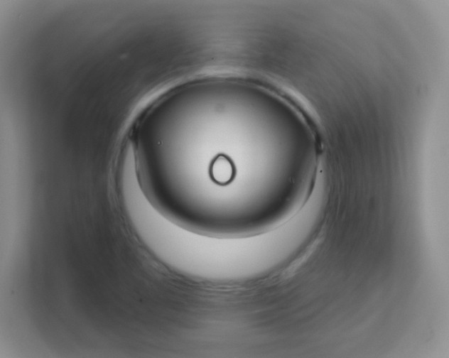 X0000111381461200907311044