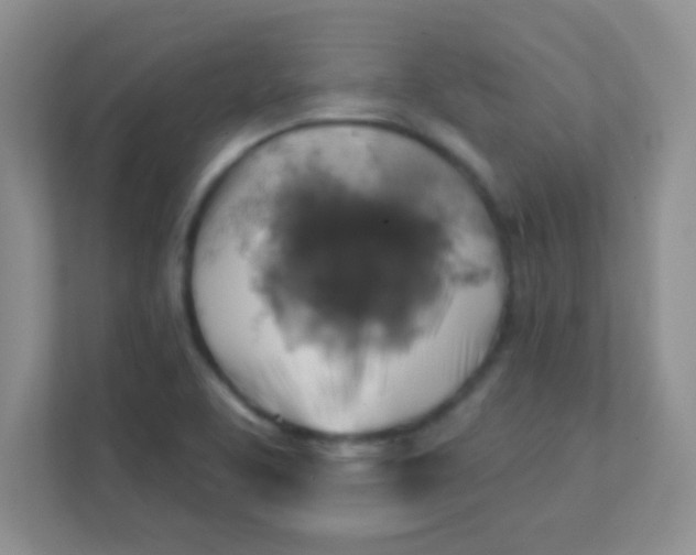 X0000111381463200907311044