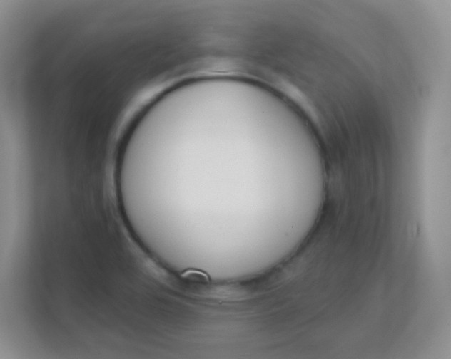 X0000111381464200907311044