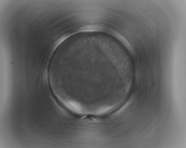 X0000111381465200907311044