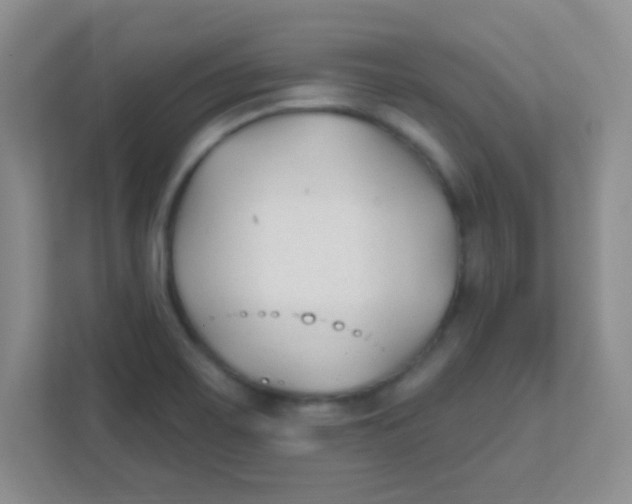 X0000111381467200907311044