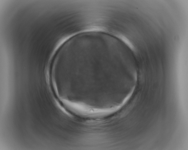 X0000111381468200907311044