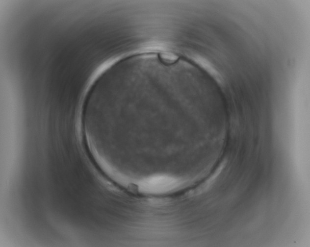 X0000111381469200907311044