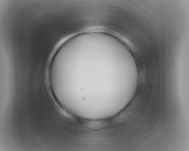 X0000111381470200907311043