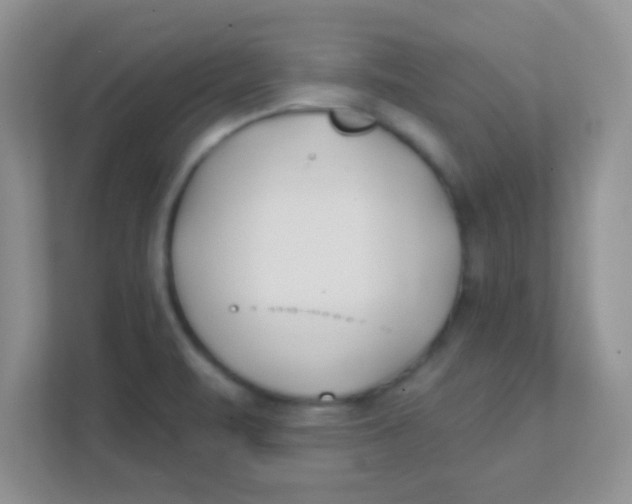 X0000111381471200907311043